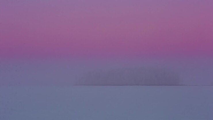 Shot of an island of coniferous trees surrounded by snow covered plains covered with dense fog in timelapse during evening time