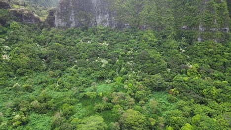 drone pan over dense tropical vegetation at the foot of a rocky mountain on big island, hawaii.