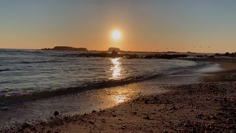 Fondo-De-Puesta-De-Sol-En-La-Playa-Con-Pájaros-Salvajes-Volando-Desenfrenadamente-Y-Buceando-En-Busca-De-Peces-En-La-Distancia