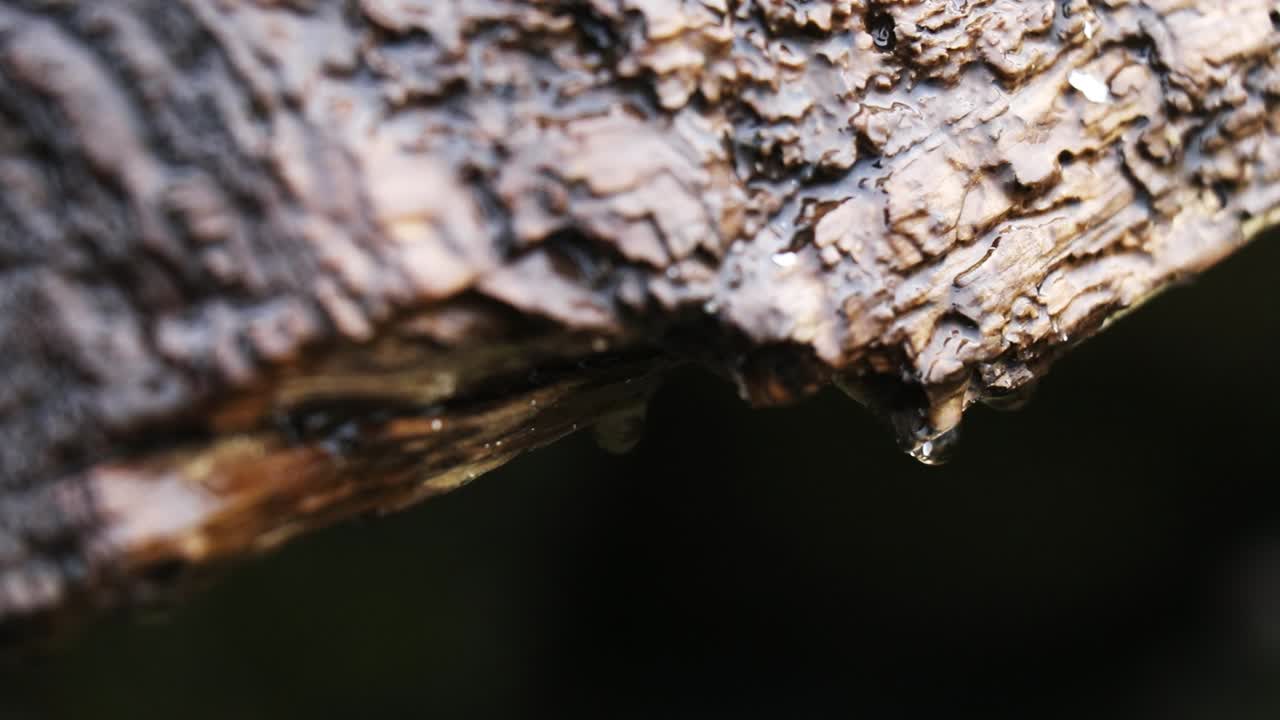비가 내리면서 물방울이 아지죠.