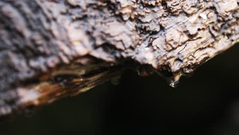 Rain-falling-creating-water-droplets