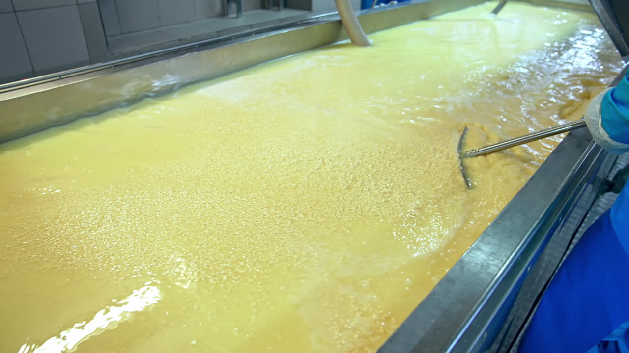 Dairy plant workers mixing fermented milk with special equipment. Huge basin full of fermented milk. Preparing cottage cheese, sour cream and cheese.