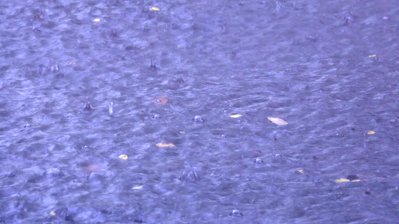 도시의 거리에서 비가 내리고 홍수가 아지고 있습니다.