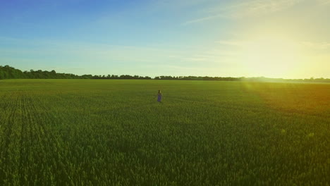 young woman running field. landscape woman in farming field