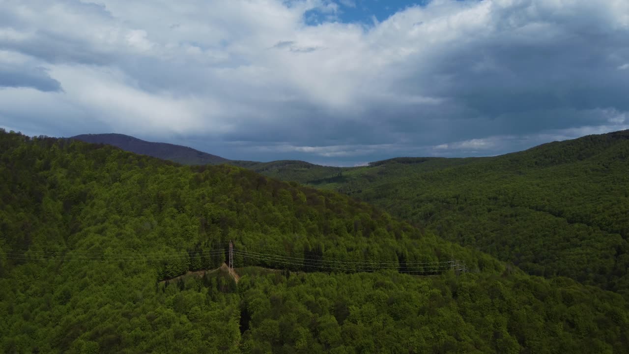 vista aérea de pinos en la montaña en primavera