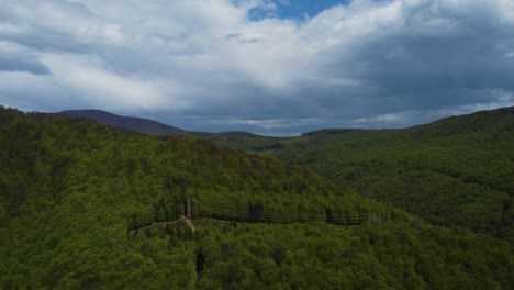aerial view of pine trees at mountain in the spring