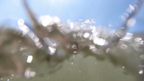 Floating-on-Sea-Surface-on-Sunny-Day-Before-Going-Underwater---Ultra-Slow-Motion-Footage