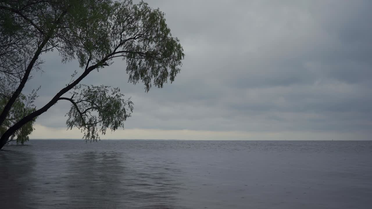 강에 비가 오는 날. 물 표면에 비방울