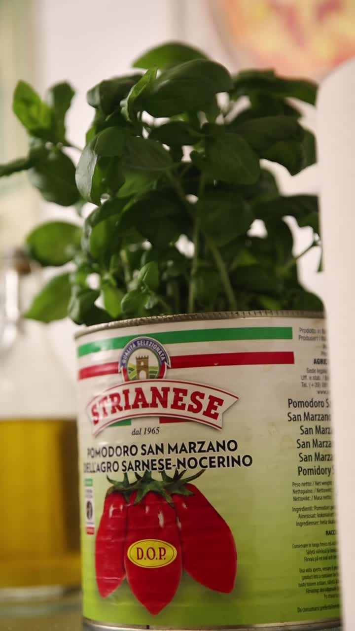 Pianta di basilico fresco che cresce in una lattina di pomodoro San Marzano riutilizzata