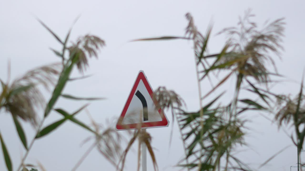 дождливый поворотный знак в тростнике