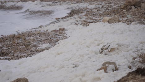 Cappuccino-effect,-white-seafoam-accumulating-on-the-shore