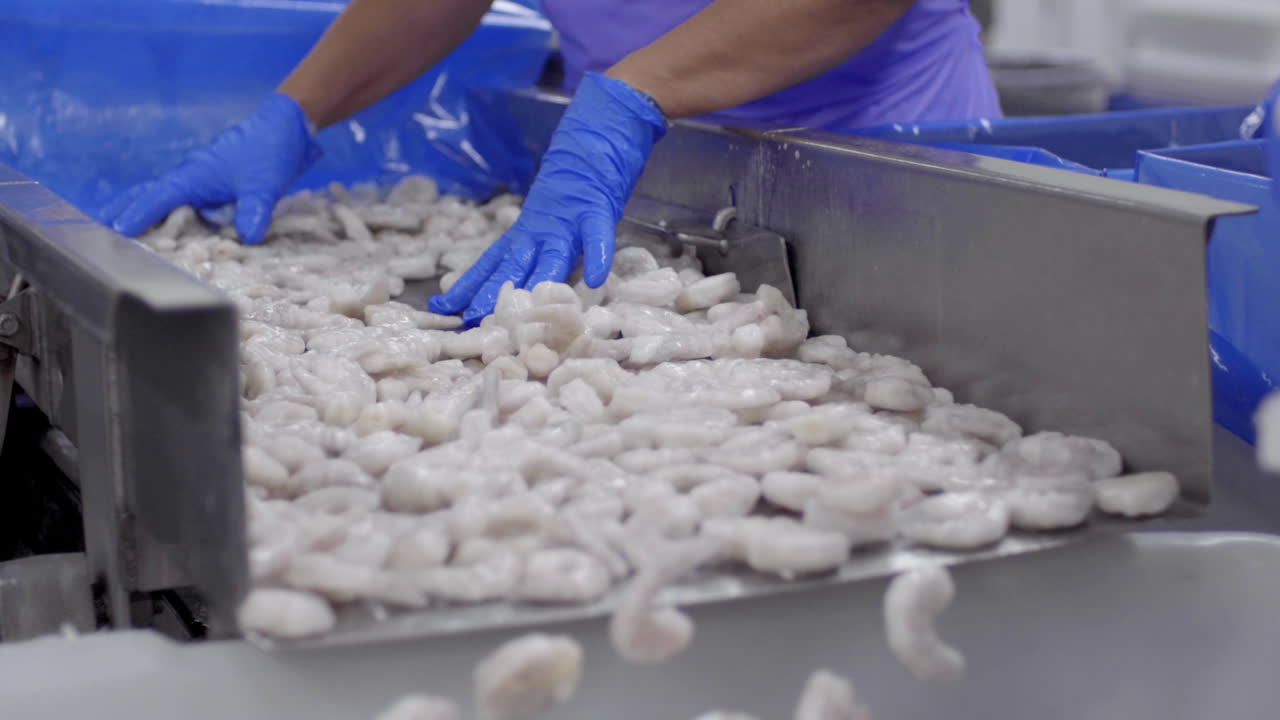 Shrimp processing in a food factory