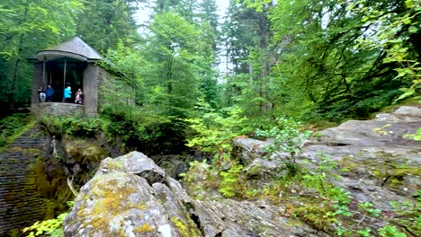 lush forest and flowing stream in dunkeld