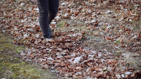 Mujer-Caminando-Sobre-Hojas-Doradas-En-Otoño