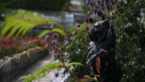 watch the lion, david welch winter gardens, aberdeen, scotland, united kingdom