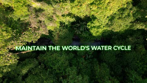 Behalten-Sie-Den-Wasserkreislauf-Der-Welt-Im-Dschungel-Bei.-Animationstext-Für-Einen-Motivierenden-Videotitel-über-Dem-Tropischen-Regenwald