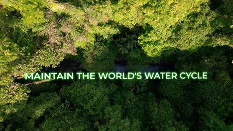 mantener el texto de animación del beneficio de la jungla del ciclo del agua del mundo para un título de video motivacional sobre la selva tropical