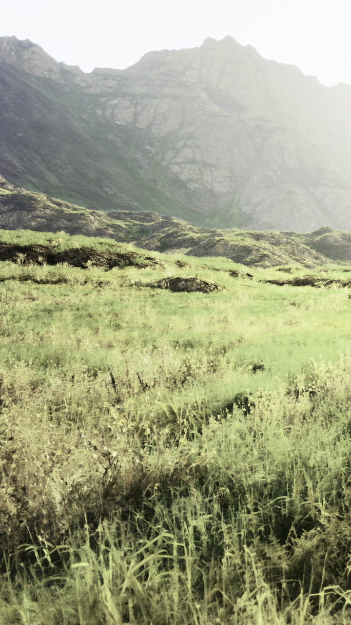 Green field with mountains and hills under soft sunlight in a remote area