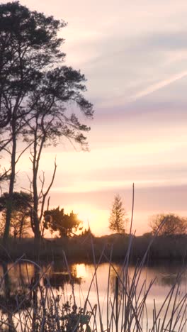 sunset over a tranquil marsh