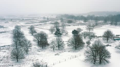 aerial over snow covered de hoge veluwe national park