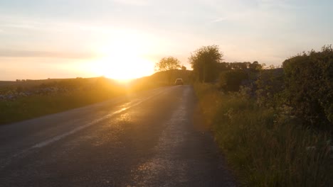 handheld static shot of car driving down road in british countryside at sunset.