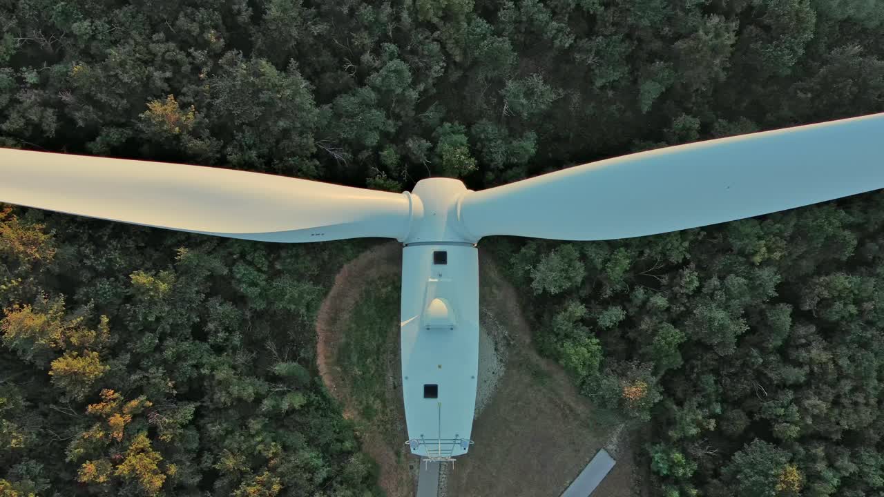풍력 터빈은 높은 소나무로 가득 찬 울창한 숲 위에서 하늘을 가로질러 우아하게 날아가고 있습니다.