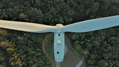 a wind turbine is soaring gracefully through the sky above a dense forest filled with tall pine trees