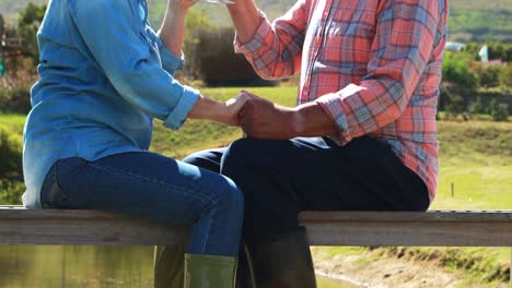 una pareja de ancianos bebiendo vino