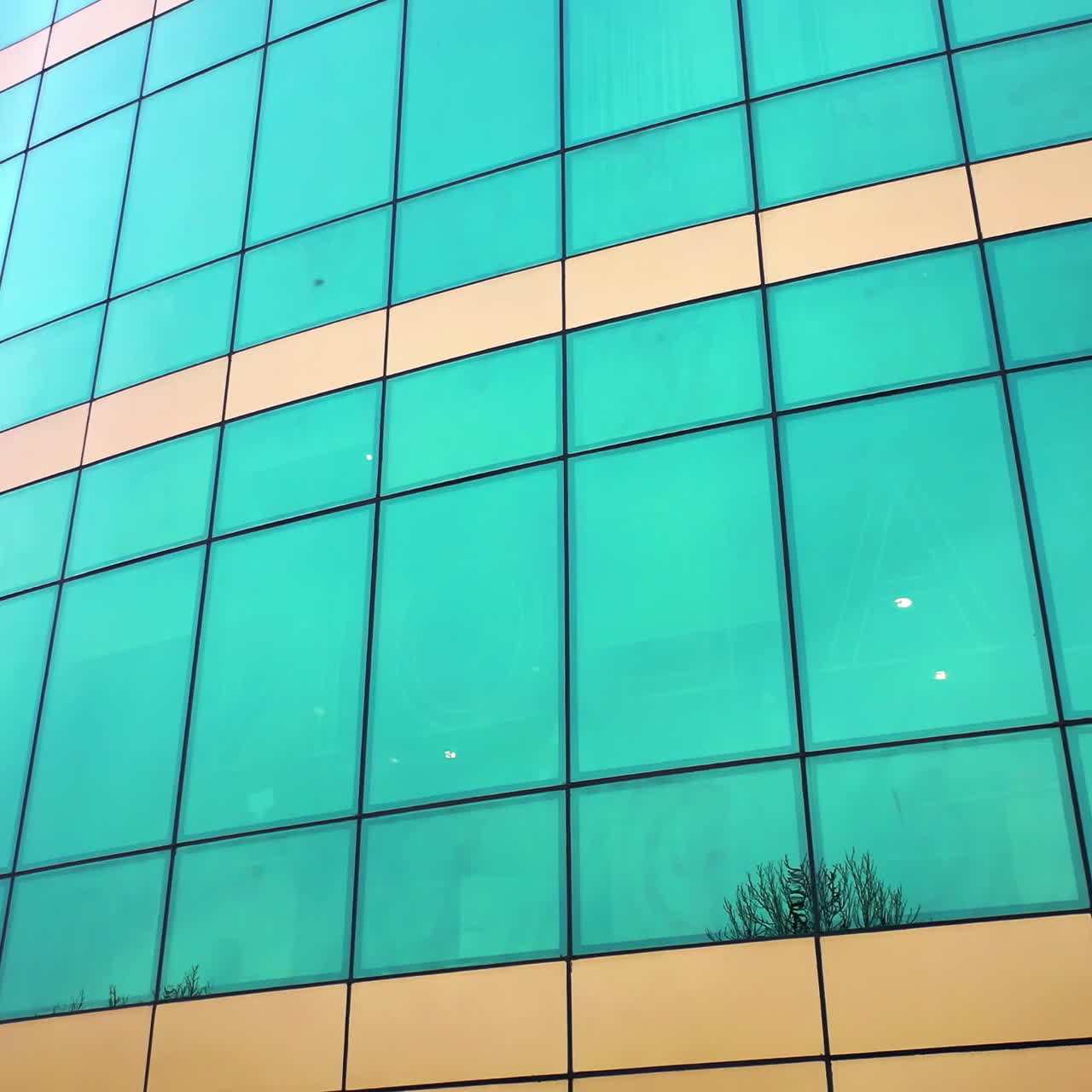Modern design of a new greenand yellow architecture with glass mirror windows. Top of the trees reflecting in glass office building in a sunny day. Aerial view.