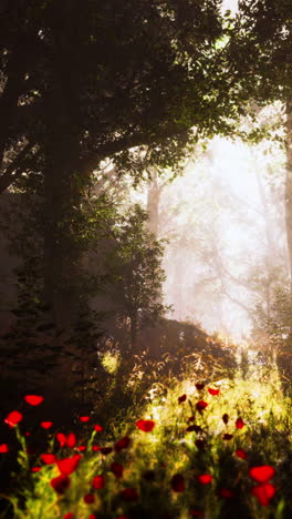 enchanted forest path with red poppies