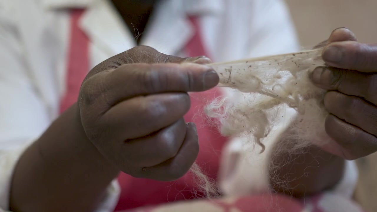 Angora fur is cleaned by hands of African artisan before spinning into yarn. Good for documentary or educational films.