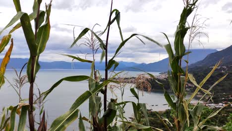 Tiro-Panorámico-En-Tierras-Altas-Guatemaltecas