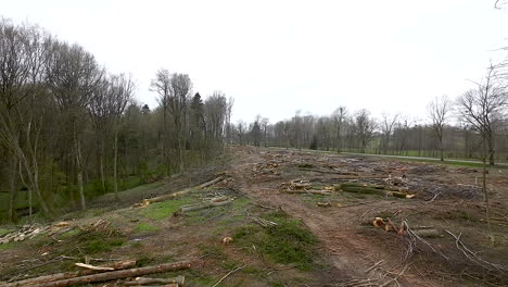 aerial view of industrial felling site