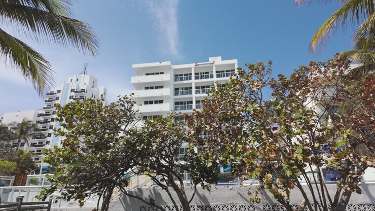Edifício moderno em Miami Beach cercado por vegetação exuberante e palmeiras