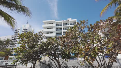 Modern-Miami-Beach-building-surrounded-by-lush-greenery-and-palm-trees