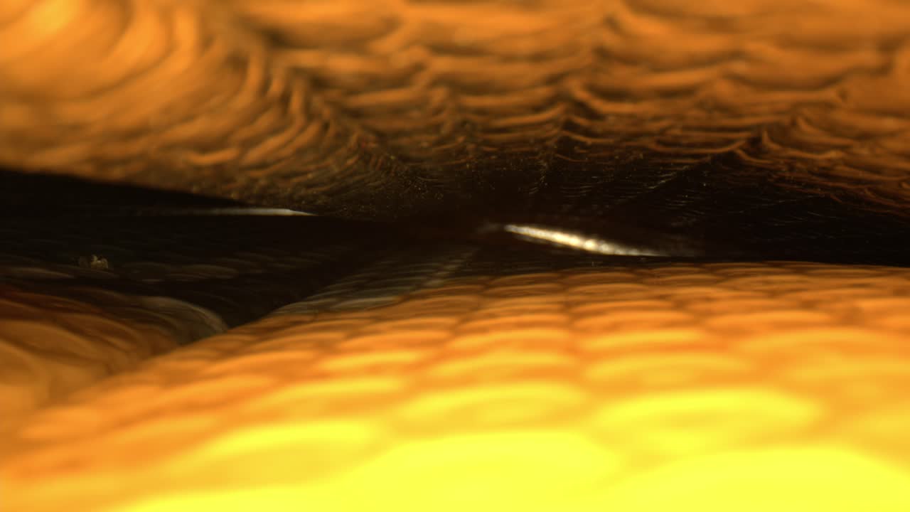 sacando de una sombra de coche amarillo brillante con piezas en la parte superior y inferior