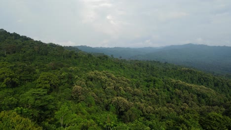 Una-Filmación-Aérea-Hacia-Una-Exuberante-Selva-Tropical-Verde-En-Tailandia-Que-También-Revela-Montañas-En-La-Distancia,-Nubes-De-Lluvia-En-El-Cielo,-Tailandia