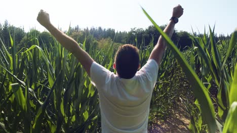 hombre caucásico feliz levanta las manos en el campo de maíz, hombre alegre con camisa blanca al aire libre, cámara lenta