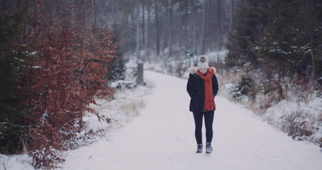 tourist walking in woods in winter 3