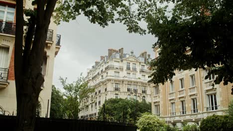 parisian architecture with trees