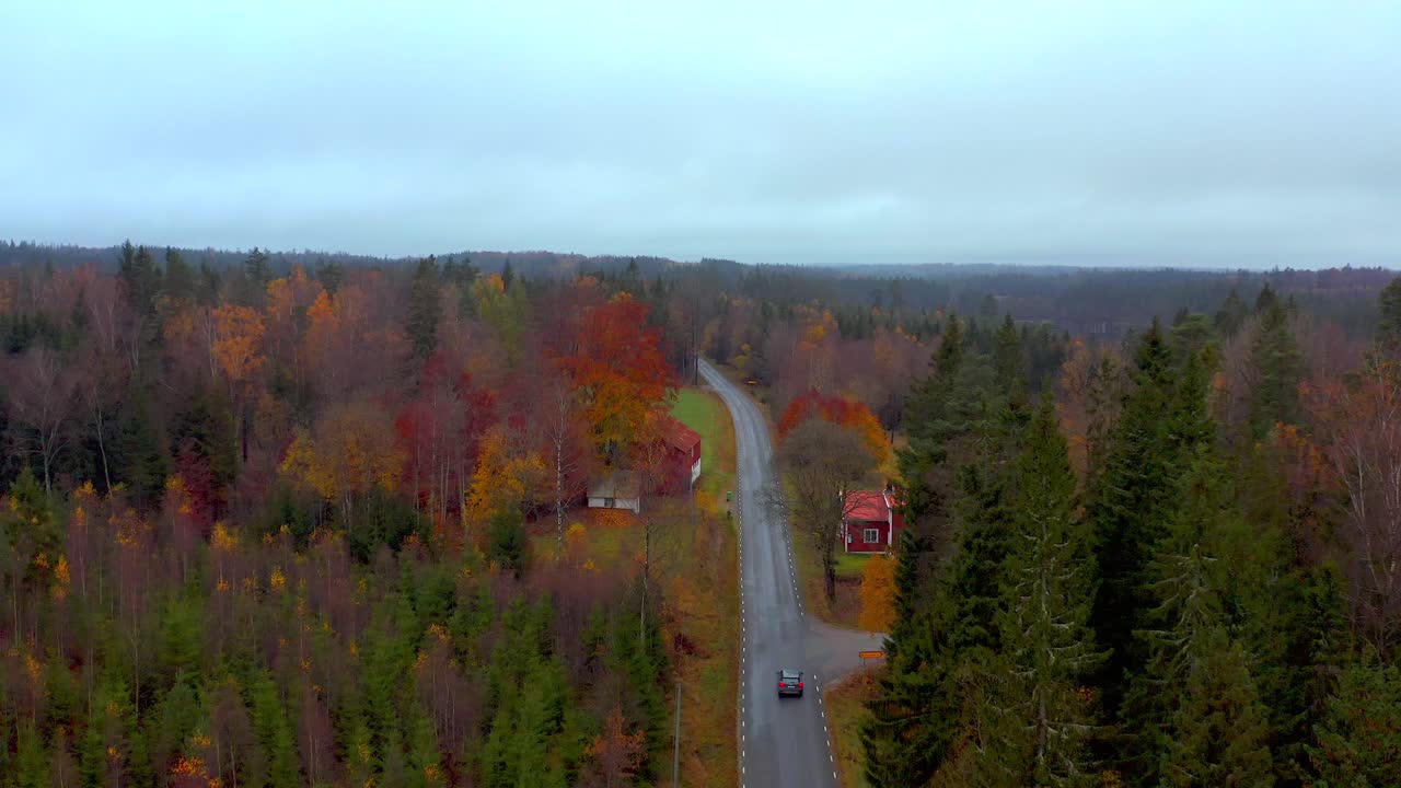 imágenes aéreas que siguen a un automóvil a través de una carretera rural sueca llena de árboles coloridos en otoño