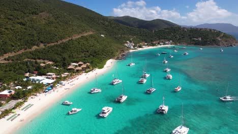 british virgin islands, aerial view of moored boats and catamarans by white sand beach, drone shot