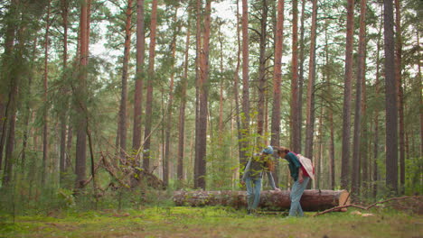 two women with jeans and sneaker approach a fallen tree in lush forest, preparing to sit together on it, surrounded by tall pines and vibrant greenery, with sunlight filtering through