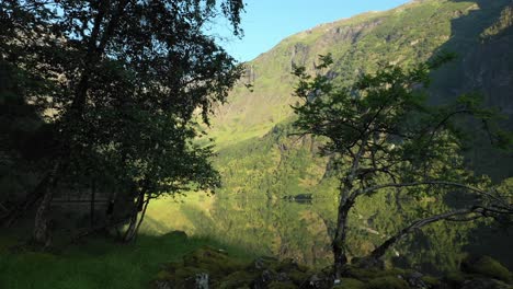 Ruhige-Fjorde-Von-Norwegen-Im-Sommer