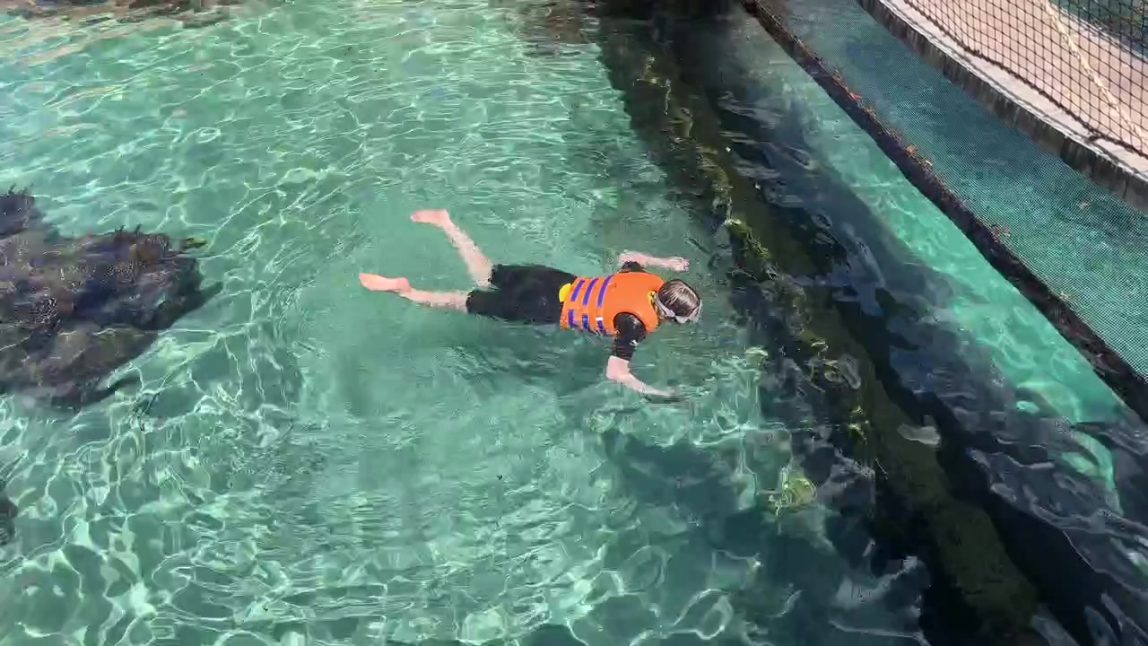 Persona che nuota in acqua limpida e turchese della piscina indossando un giubbotto di salvataggio arancione. La vista dall'alto mostra increspature, giochi di luce solare e un bordo con rete in un'area acquatica esterna.
