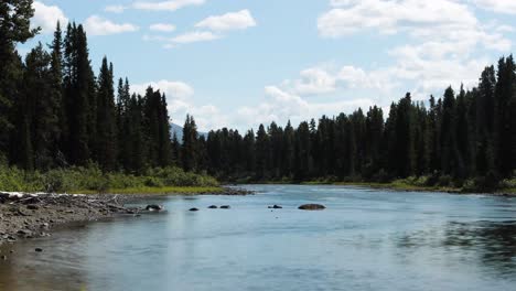 Lapso-De-Tiempo-De-Un-Río-En-Un-Bosque