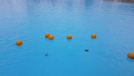 red round restrictive buoys in the pool.