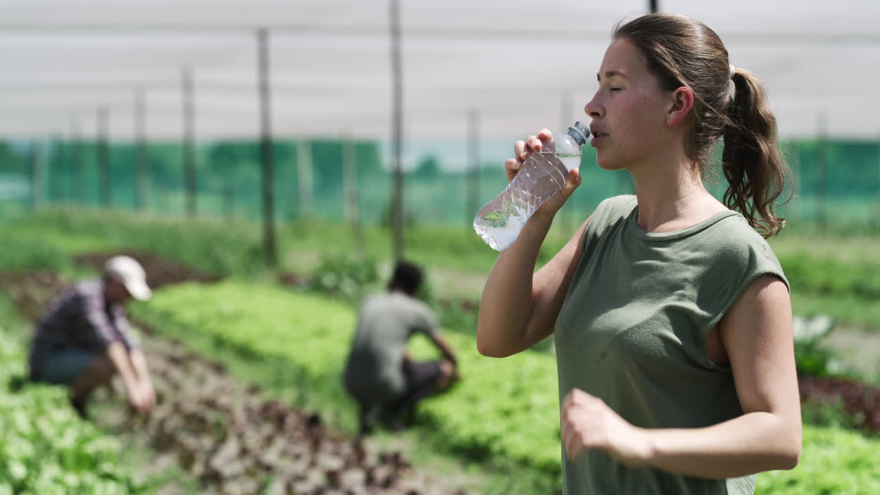 당신은 농장에서  ⁇ 을 흘릴 수 있습니다.