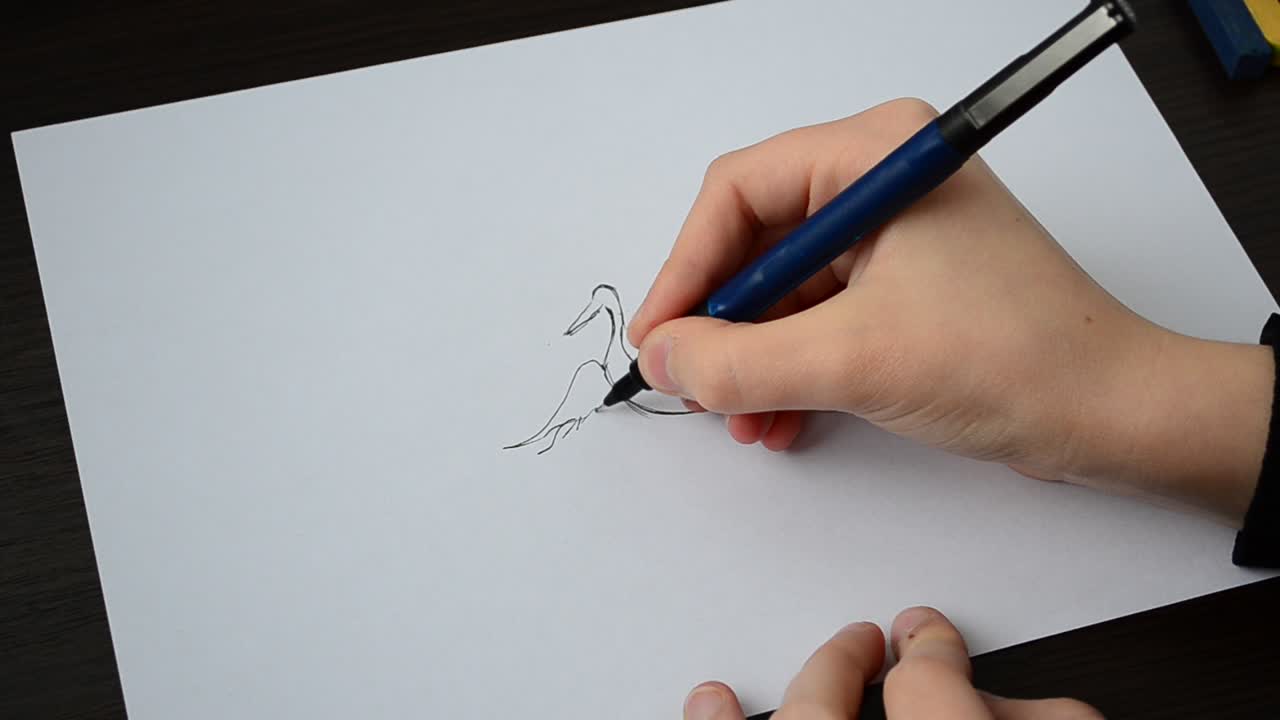 We draw a heron in the sky. Drawing process