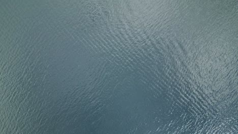 ripples on water, top-down view